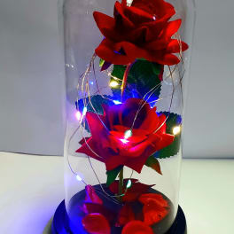 Two red roses under a clear glass dome with string lights