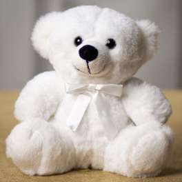 White teddy bear with a satin bow