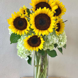 Brilliantly Bloomed