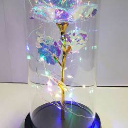 Iridescent rose under a clear dome with string lights