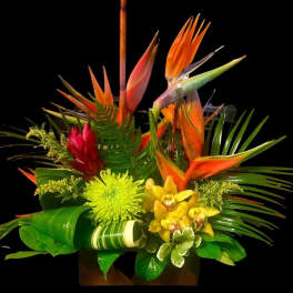Tropical arrangement with orange bird-of-paradise and yellow orchids in a container