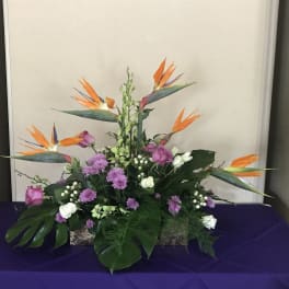 Tropical floral arrangement with bird-of-paradise and purple blooms in a low container