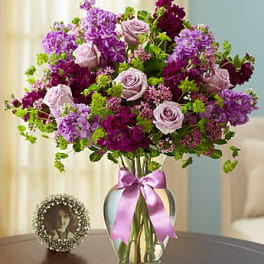 Shades of Purple (Premium Shown)