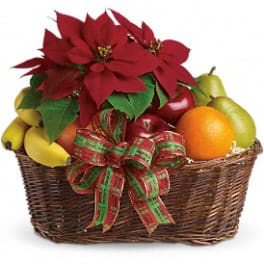 Fruit basket with red poinsettias and a ribbon bow