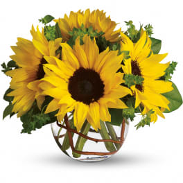 Sunny happy sunflowers