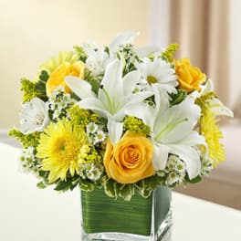 Healing Tears - Yellow and White (Deluxe Shown)