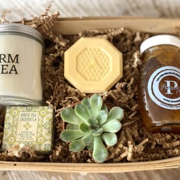 Gift basket with a succulent, candle, soap, honey, and a honeycomb-shaped item