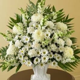Tall white sympathy arrangement of daisies, mums, and snapdragons in a white urn-style vase