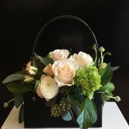 Cream roses and green hydrangea in a black handbag-style container