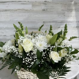 White Vibes