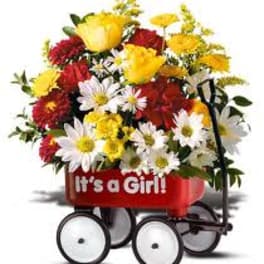 Mixed flower arrangement in a red wagon with "It's a Girl!" text
