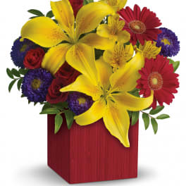 Summer Brights