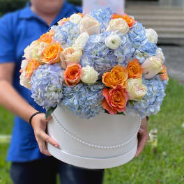 Round box arrangement of blue hydrangeas and peach roses