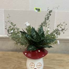 Potted succulent arrangement in a red-and-white mushroom planter