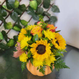 Sunflower and yellow chrysanthemum arrangement in a pumpkin-shaped vase