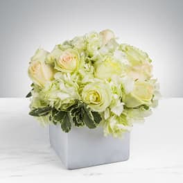 Simplicity by BloomNation™