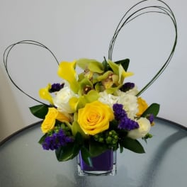 Yellow and Blue