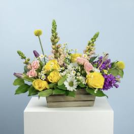 Country Garden Blooms