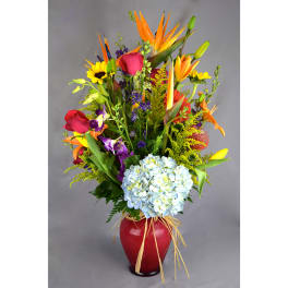 Colorful mixed bouquet in a red vase with blue hydrangea and orange tropical blooms