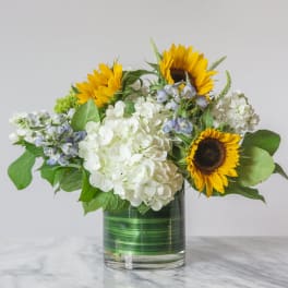Sunflowers and white hydrangeas in a glass vase