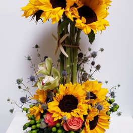 Sunflower Love 2