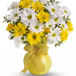 Upsy Daisies