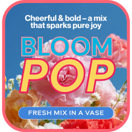 Colorful floral promo graphic with pink and orange blooms and bold text