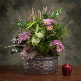 Elegant Ceramic Dish Garden