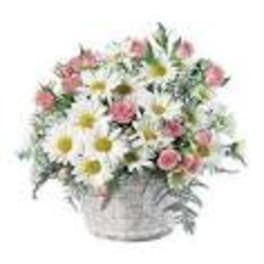 Mixed bouquet of white daisies and pink flowers in a basket
