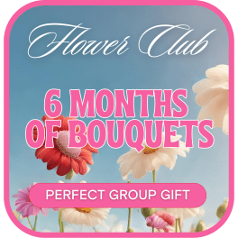 Promotional graphic with daisies and the text "6 MONTHS OF BOUQUETS"