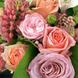 Close-up bouquet of pink and peach roses with green buds