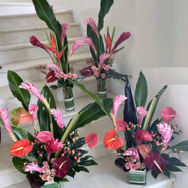 Set of three tall tropical arrangements with pink gingers, anthuriums, and roses in glass vases