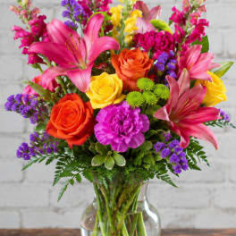 Petal Perfections Colors of the Rainbow