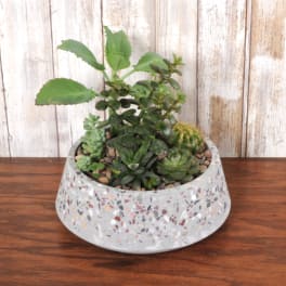 Low bowl of assorted green succulents in a terrazzo-style planter on a wooden surface