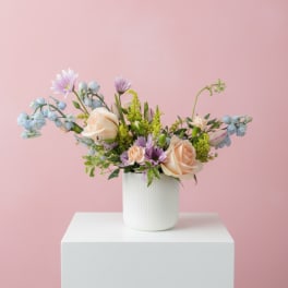 Primavera
