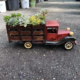 Wooden toy truck filled with assorted succulents