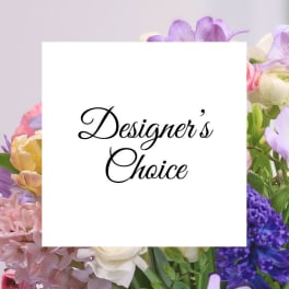 Designer’s Choice text over a pastel floral background