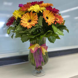 Colorful gerbera daisy bouquet in a glass vase with ribbon