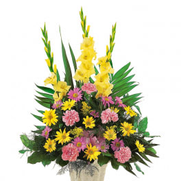 Warm Thoughts Arrangement by Teleflora