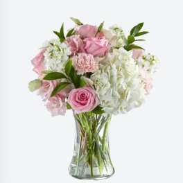 Pink roses and white hydrangeas in a clear glass vase