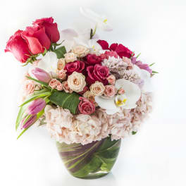 Lovely Pinks