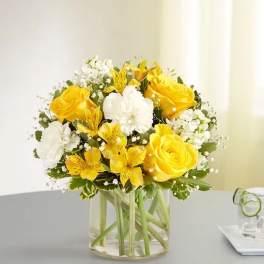 Yellow and White Delight