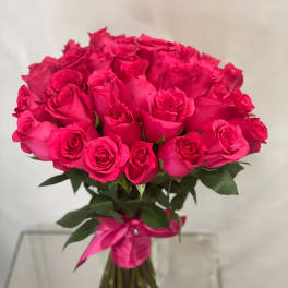 Bouquet of bright pink roses tied with a pink ribbon