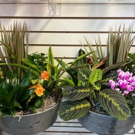 Two mixed plant arrangements in ribbed metal bowls with purple flowers