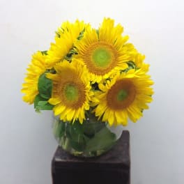 Bouquet of yellow sunflowers in a clear glass vase