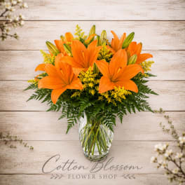 Sunrise Lilies