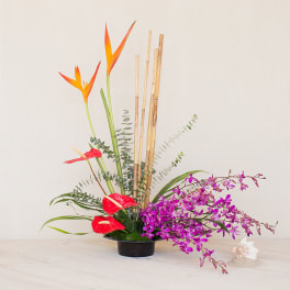 Modern tropical arrangement with orange blooms, red anthuriums and purple orchids in a low black bowl.
