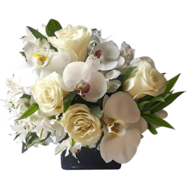 Cream roses and white orchids in a dark vase