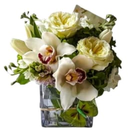 White orchids and pale roses in a square glass vase
