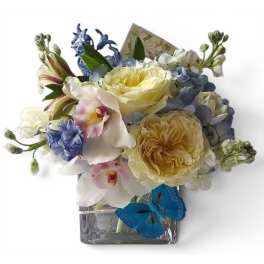 Blue Hydrangea Designer's Choice